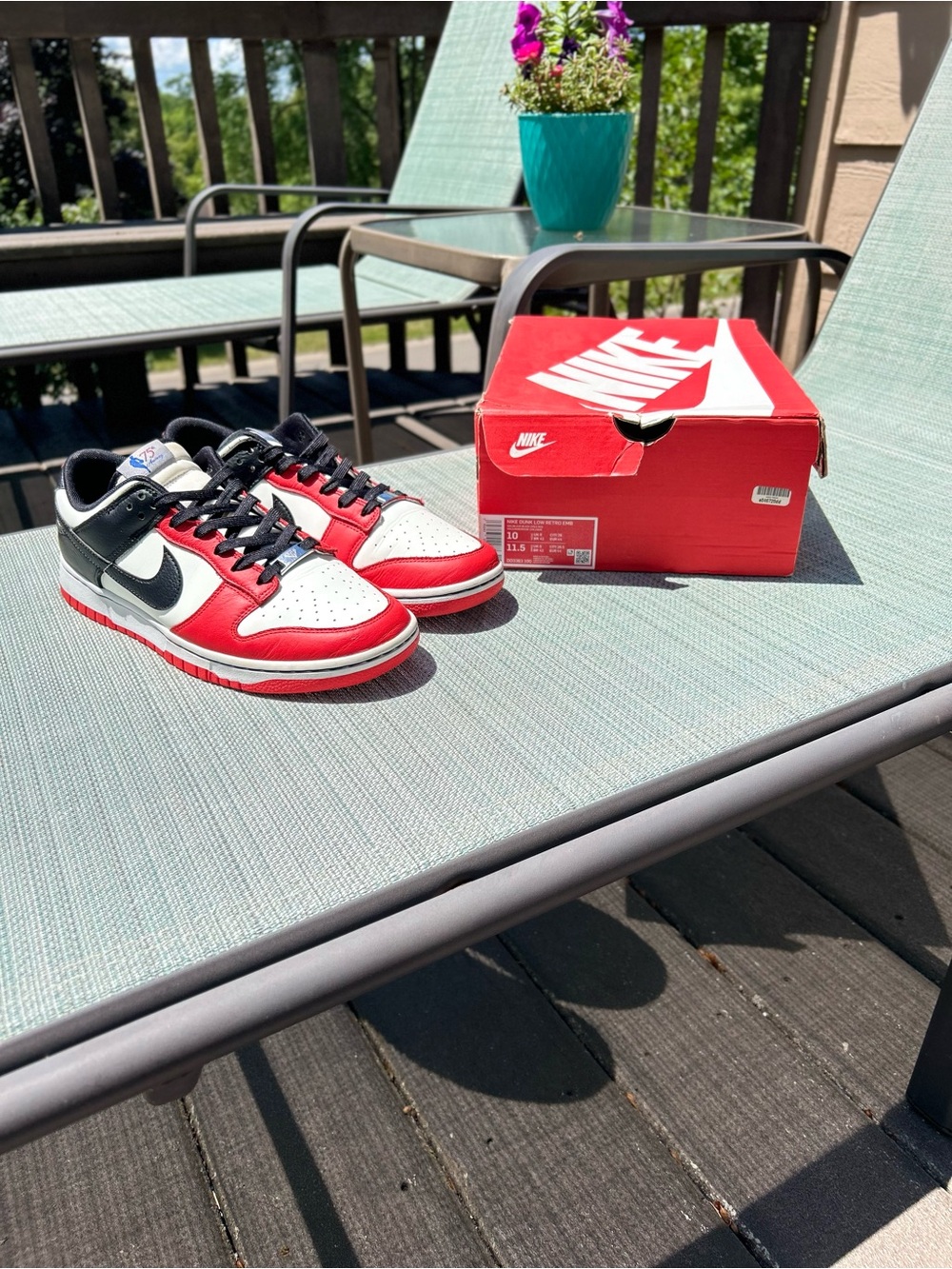 Nike Dunk Low EMB NBA 75th Anniversary Chicago Bulls DD3363-100